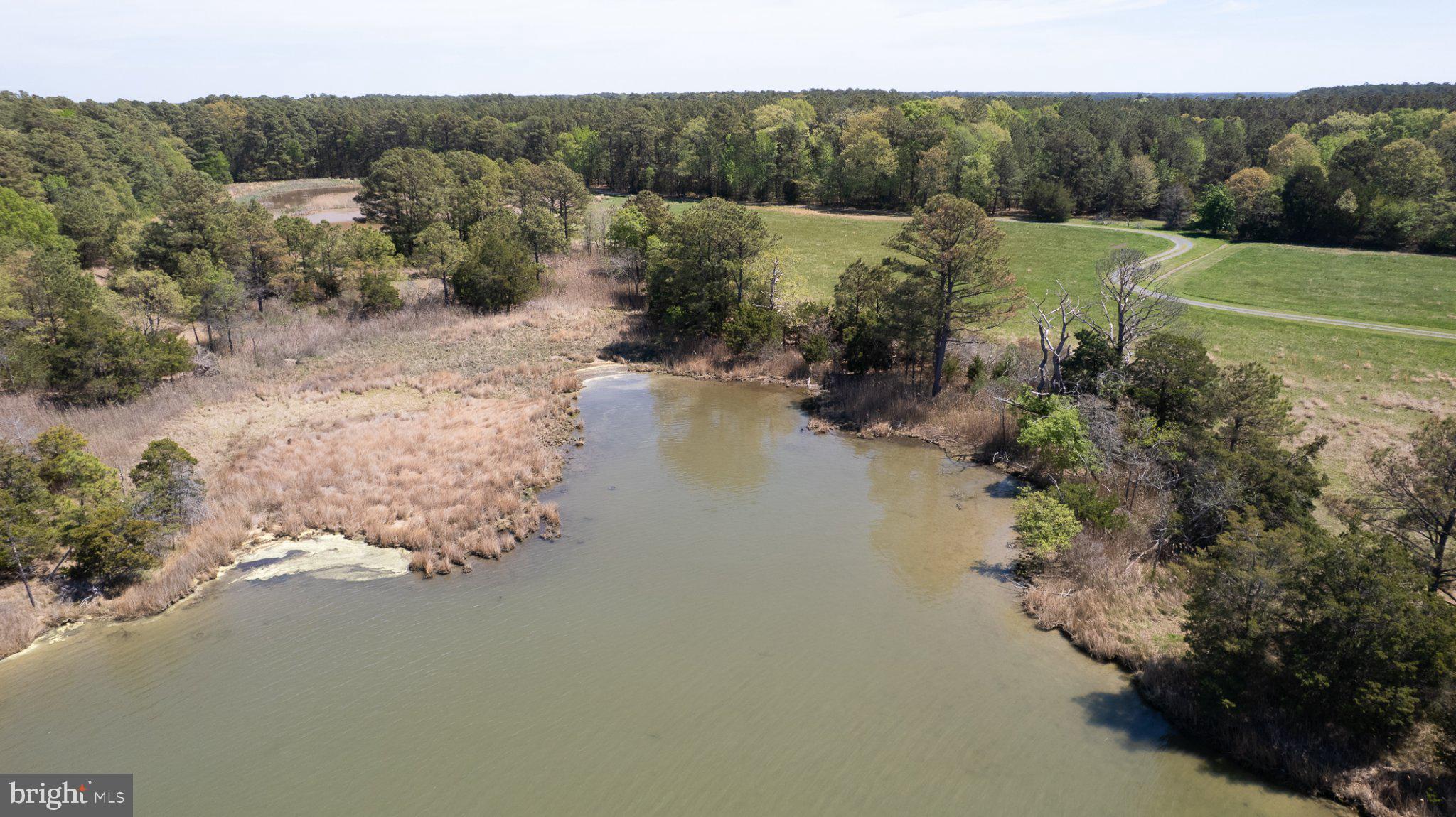 5704 Ross Neck Road Cambridge, MD 21613 - Photo 23 of 98 Serene waters meet lush greenery.