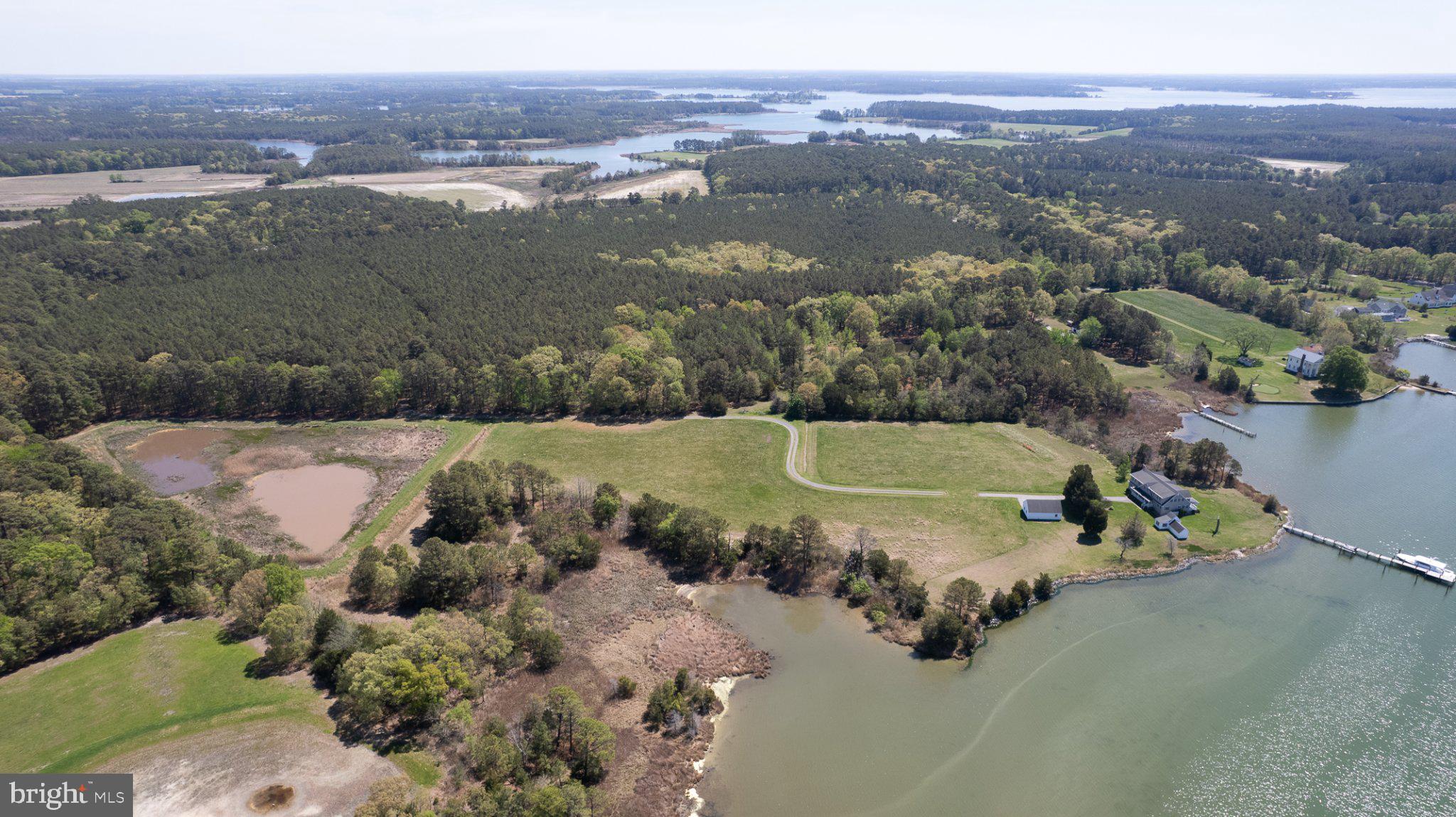 5704 Ross Neck Road Cambridge, MD 21613 - Photo 3 of 98 Serene waterfront landscape awaits discovery.