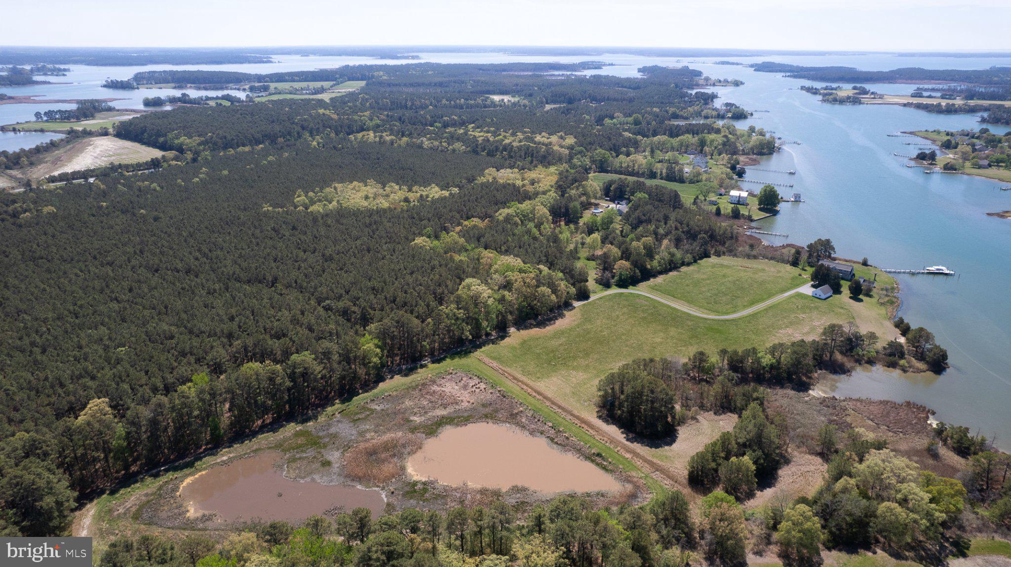 5704 Ross Neck Road Cambridge, MD 21613 - Photo 4 of 98 Serene waterfront landscape unfolds.
