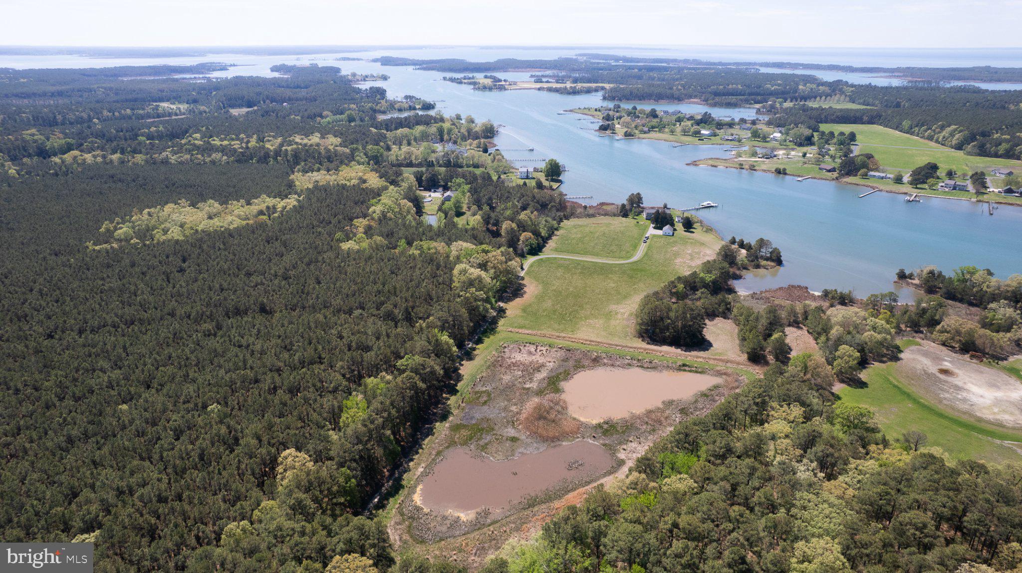 5704 Ross Neck Road Cambridge, MD 21613 - Photo 5 of 98 Lush landscapes meet tranquil waters.