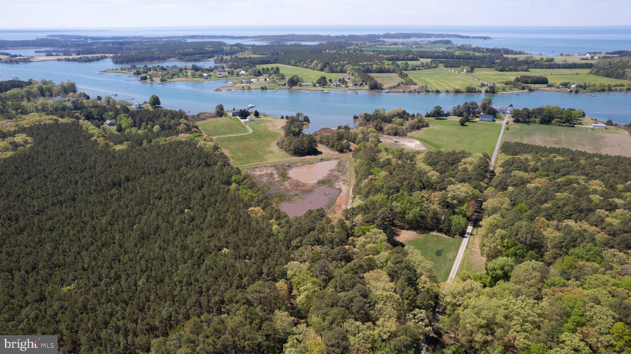 5704 Ross Neck Road Cambridge, MD 21613 - Photo 6 of 98 Serene waterfront landscape vista.