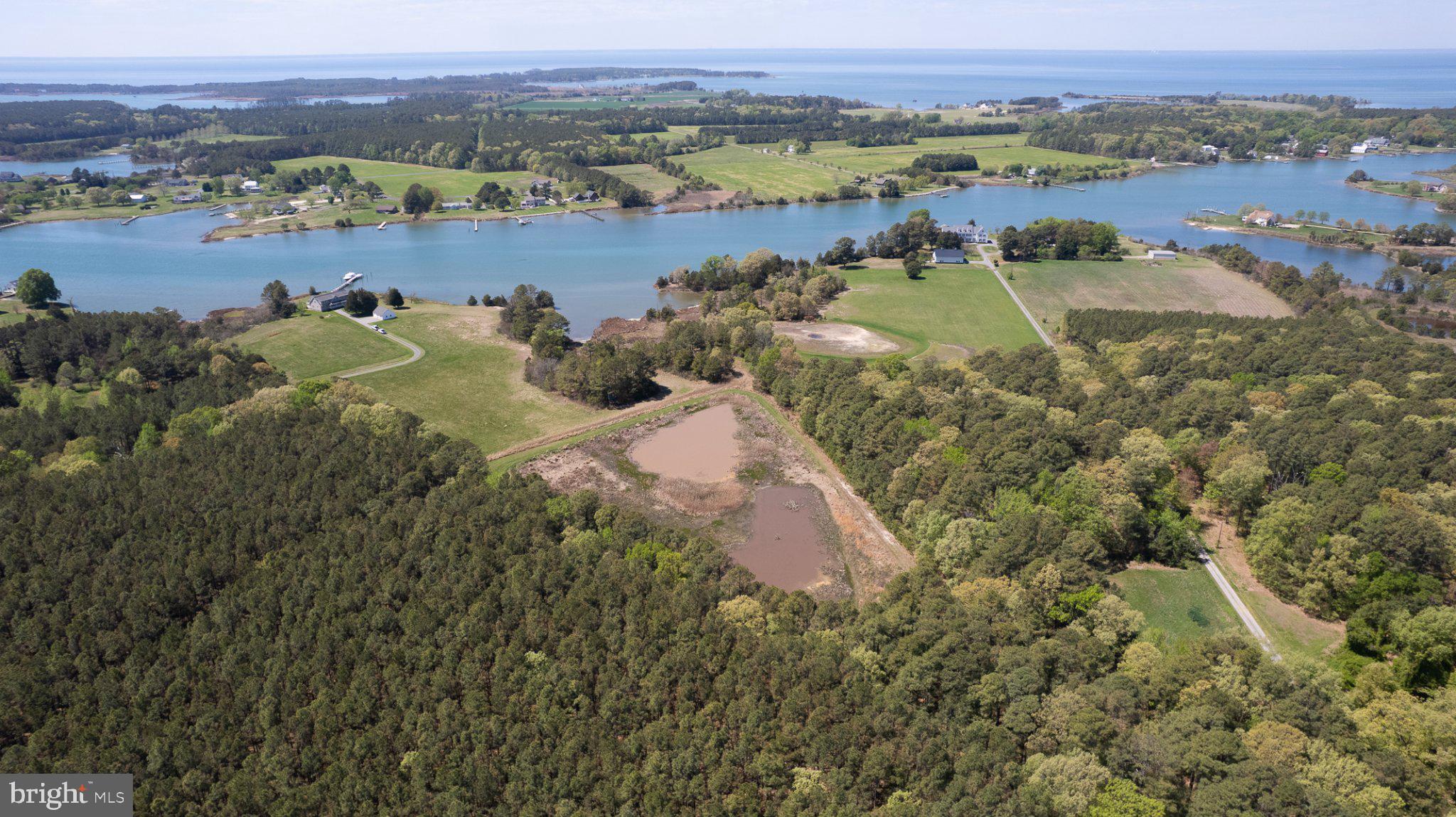 5704 Ross Neck Road Cambridge, MD 21613 - Photo 7 of 98 Serene waterfront landscape unfolds.