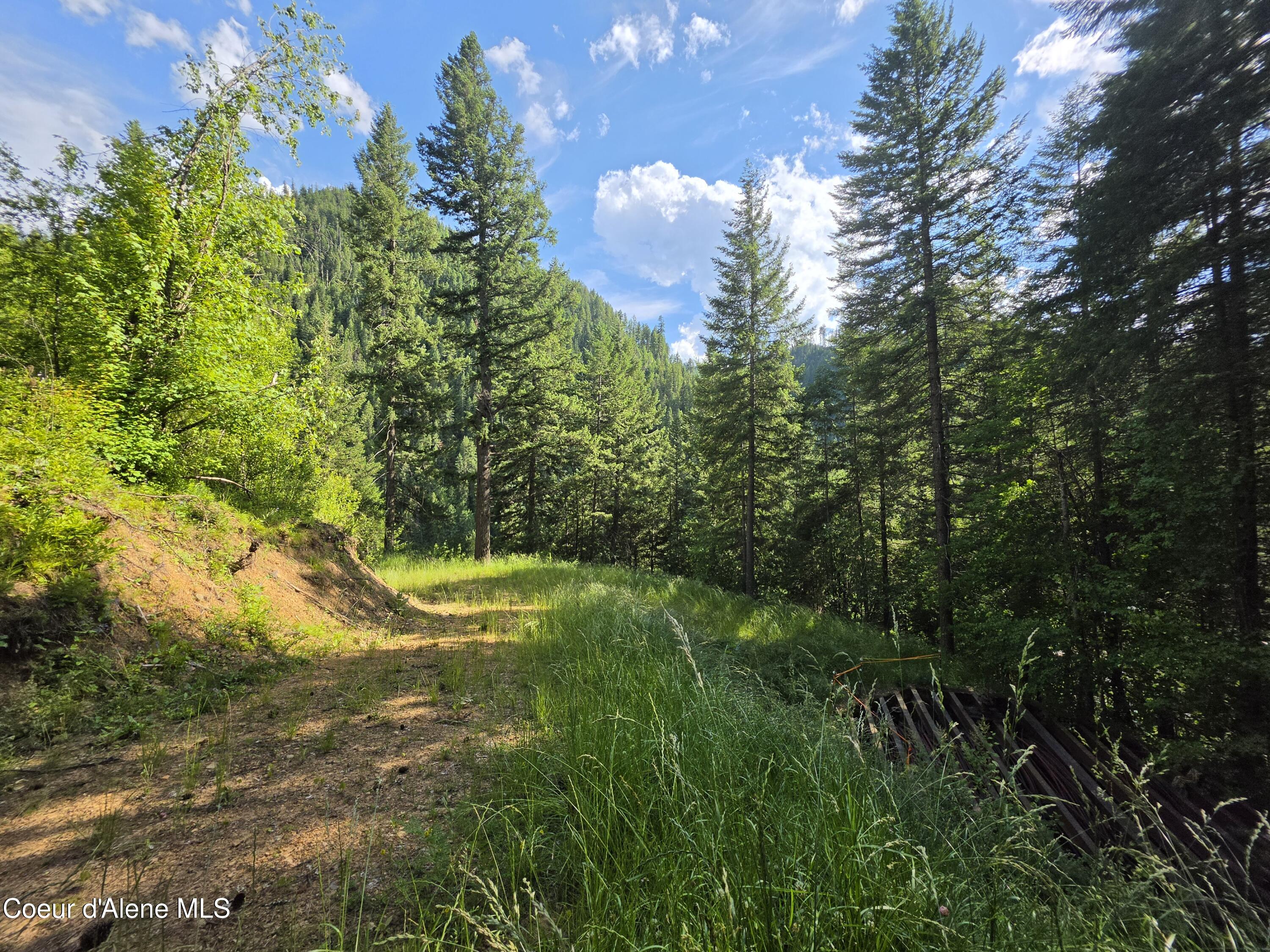 480 Dunn Peak Road Avery, ID 83802 - Photo 27 of 66 1st Building site