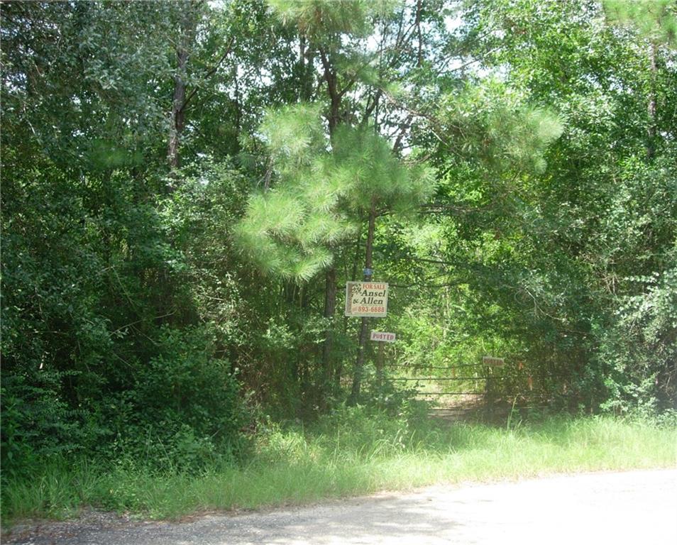 0 North Fitzmorris Road Covington, LA 70435 - Photo 4 of 7 Gallery Image 4