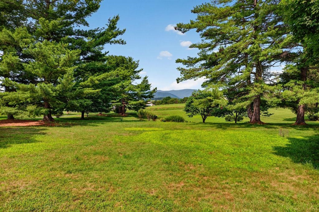 120 Trinity Point Road Swoope, VA 24479 - Photo 49 of 75