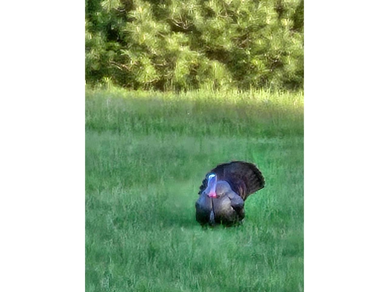 425 Taylor Street Milton, VT 05468 - Photo 29 of 30