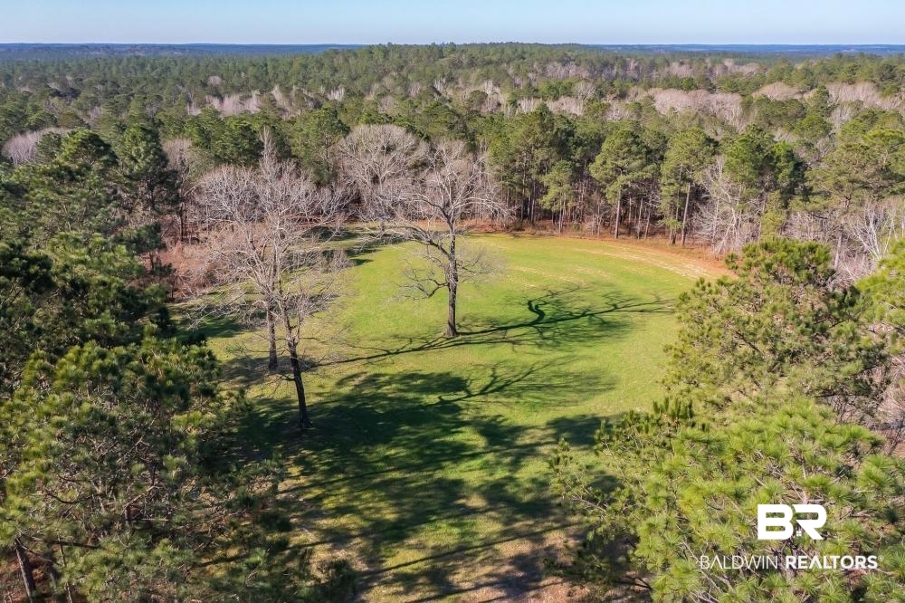 0 Private Road Millry, AL 36558 - Photo 35 of 50