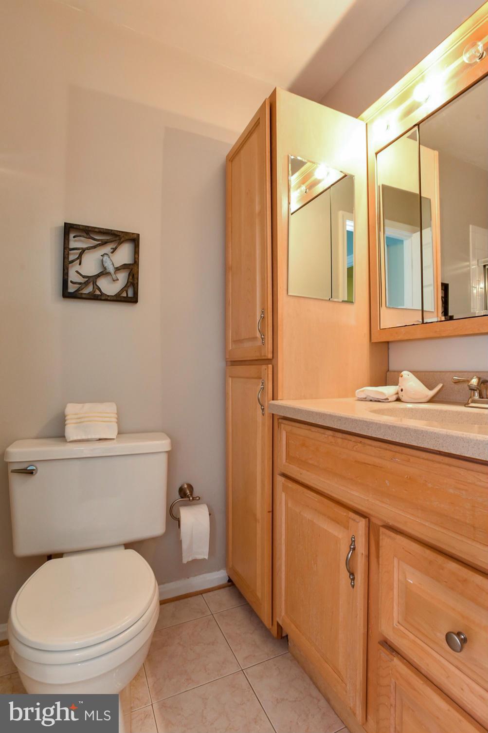 2423 Ansdel Court Reston, VA 20191 - Photo 17 of 30 Bath (Master)