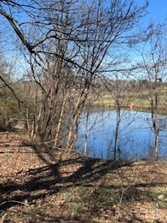 0 Rock Hole Road Stanfield, NC 28163 - Photo 3 of 5 Gallery Image 3