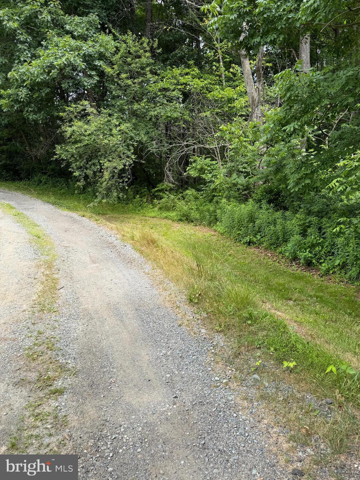 Ragan Road Conowingo, MD 21918 - Photo 7 of 7 Shared driveway - lot to the Right