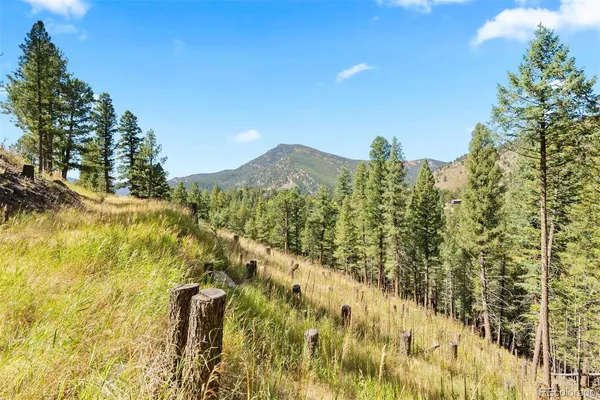 a view of mountain view with lots of trees