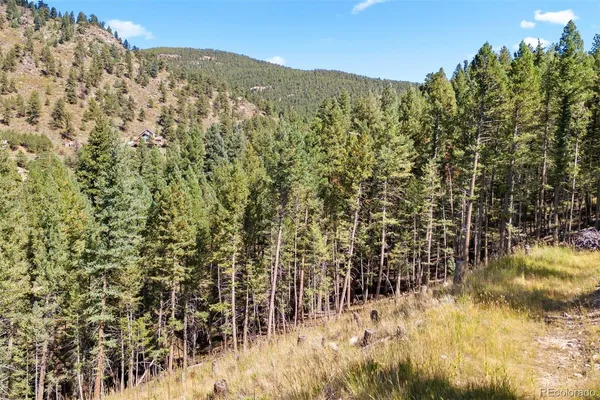 $275,000 | Lot 83 Conifer Drive, Evergreen, CO 80439