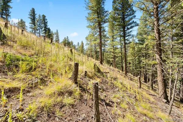 $275,000 | Lot 83 Conifer Drive, Evergreen, CO 80439