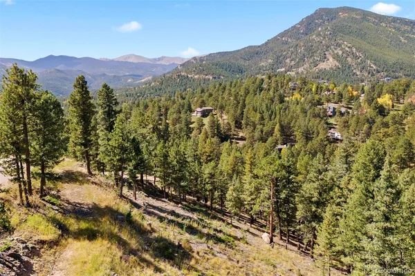 a view of a forest with a mountain