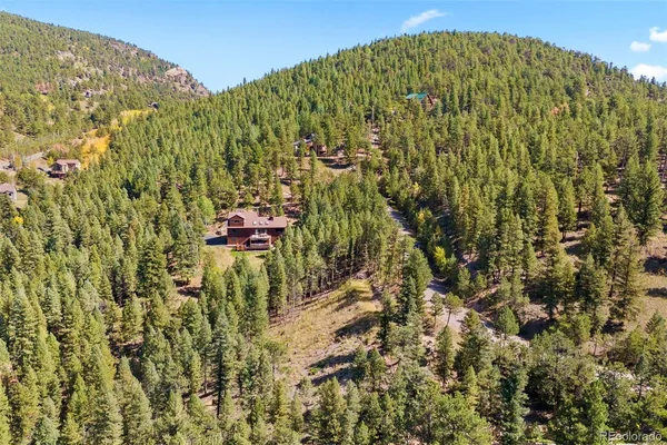 a view of a forest with a mountain