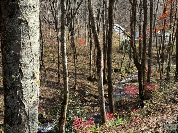 a view of outdoor space and garden