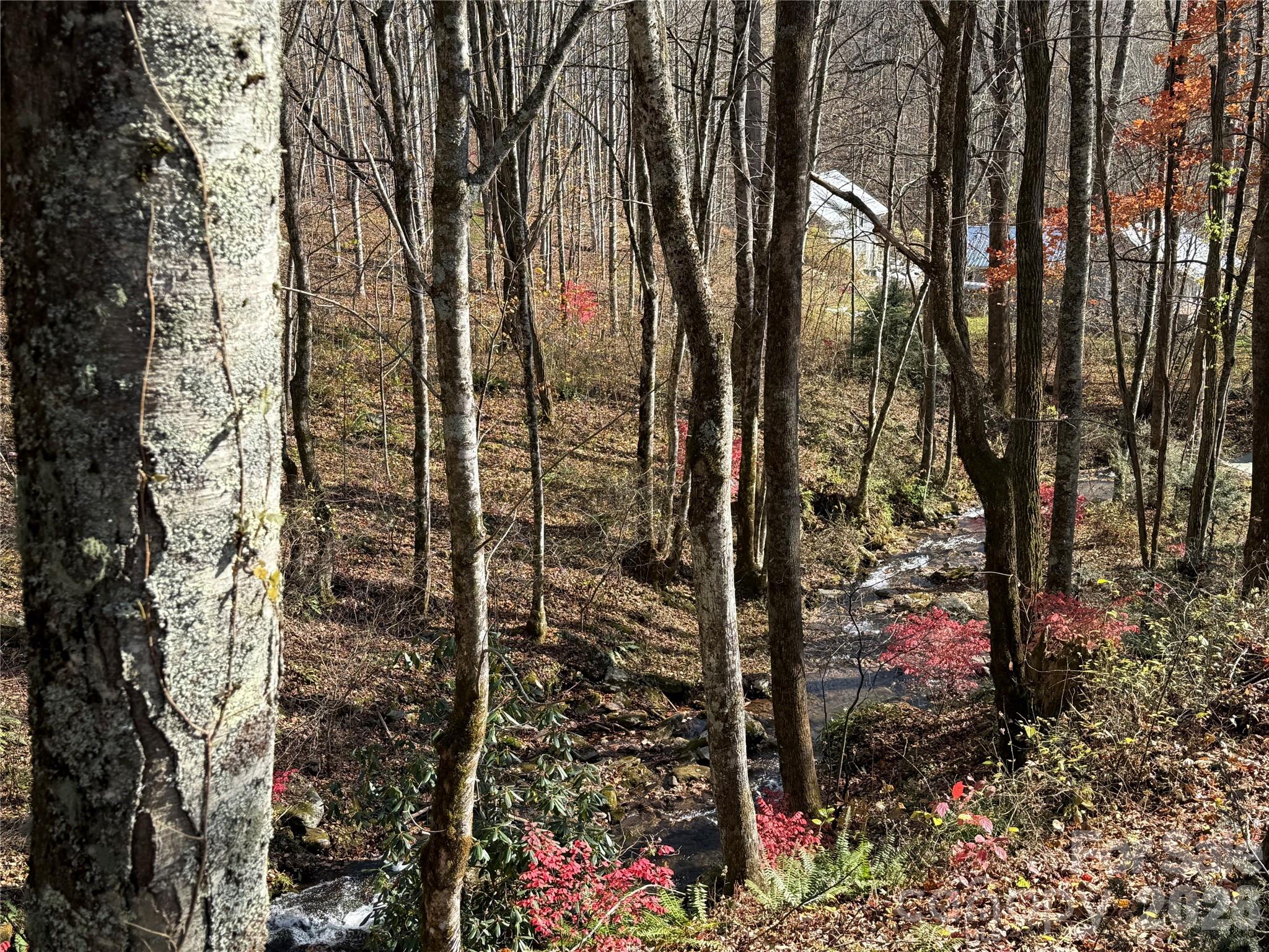 2094 Fisher Crk Road Sylva, NC 28779 - Photo 4 of 8