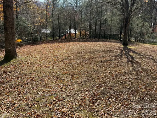 a view of backyard with green space