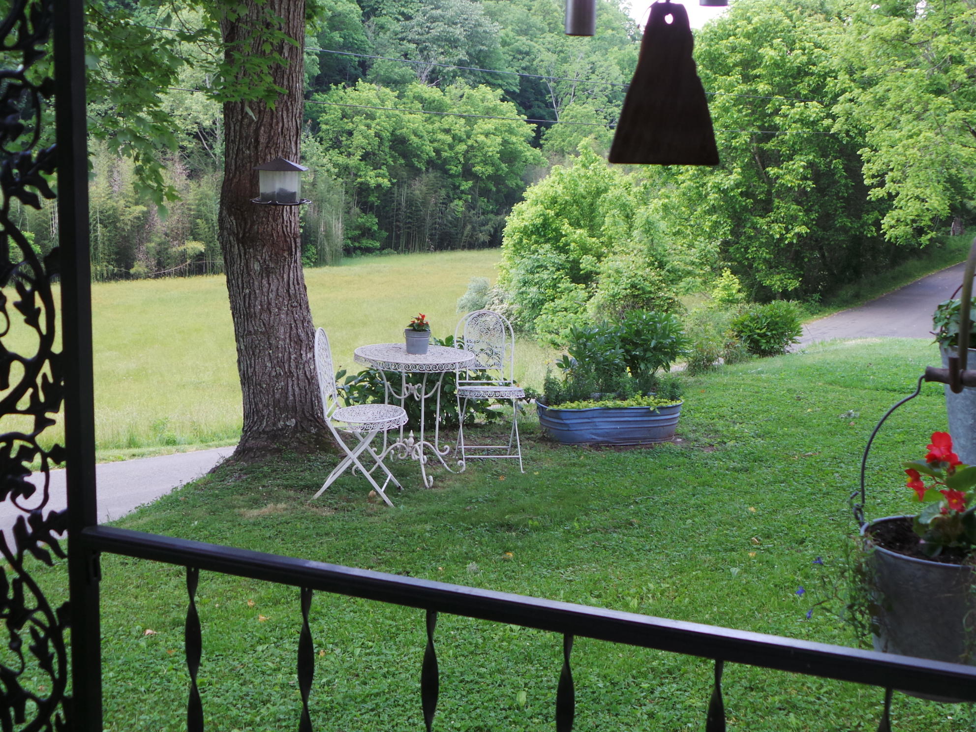 1905 Boozy Creek Road Bristol, VA 24202 - Photo 50 of 130 VIEWS OF THE MEADOW
