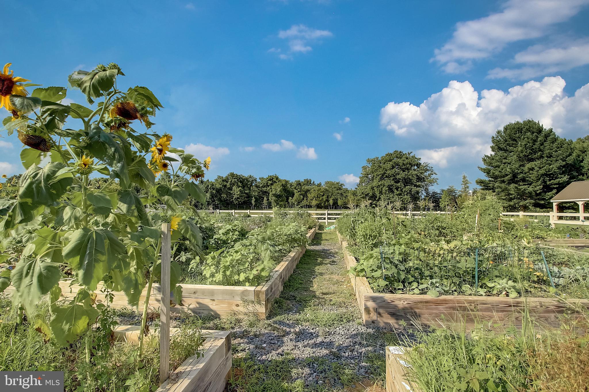 2520 Debert Circle Hanover, MD 21076 - Photo 37 of 44