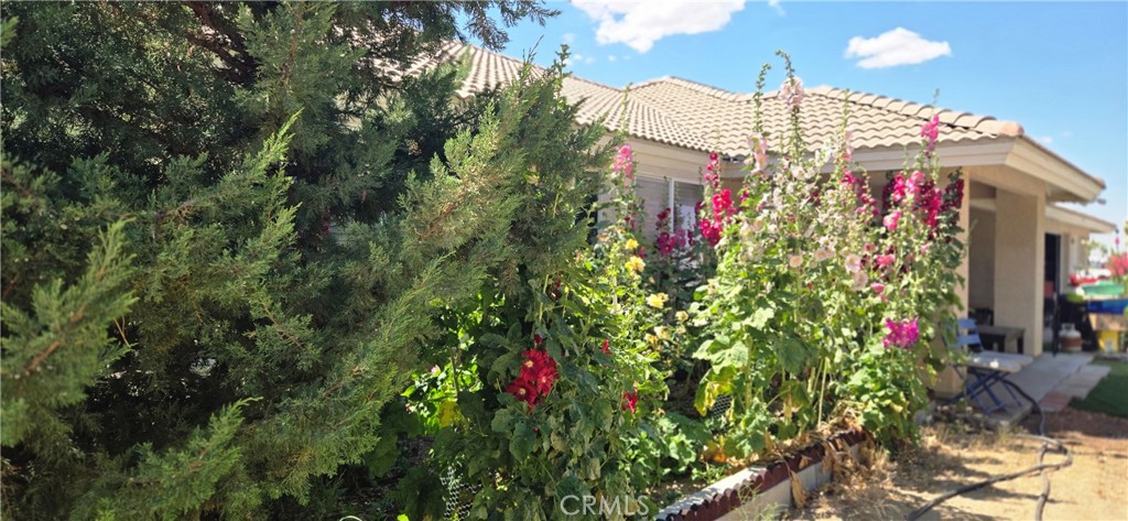 9562 Cambria Road Phelan, CA 92371 - Photo 6 of 55