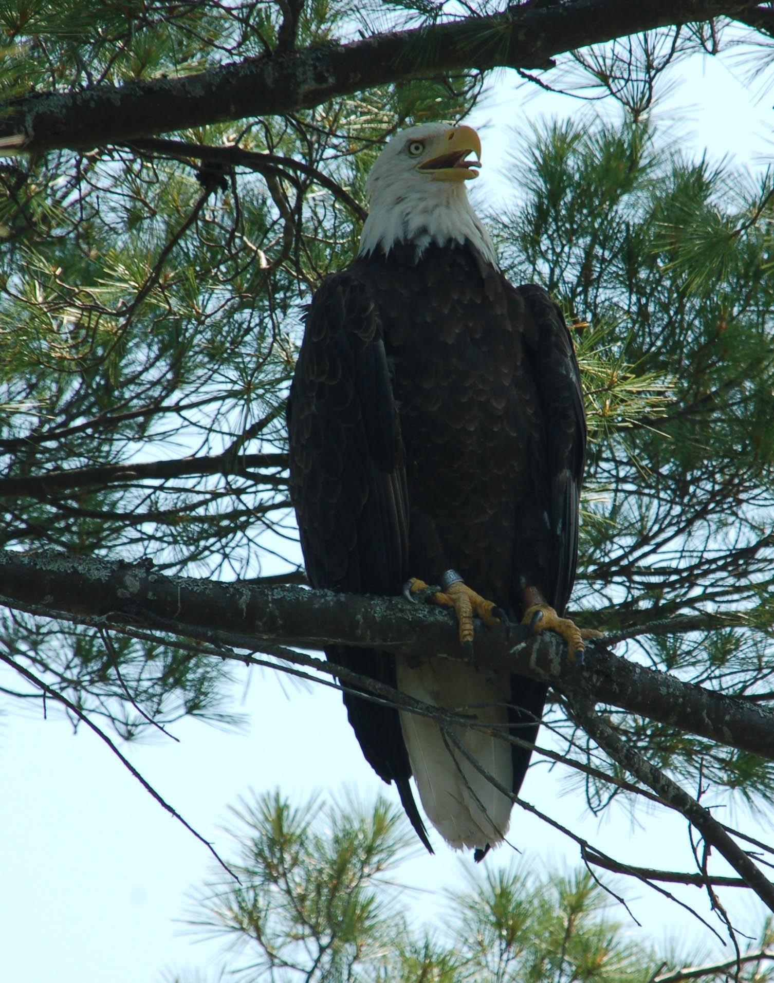 60 Goodwin Road Enfield, NH 03748 - Photo 35 of 39
