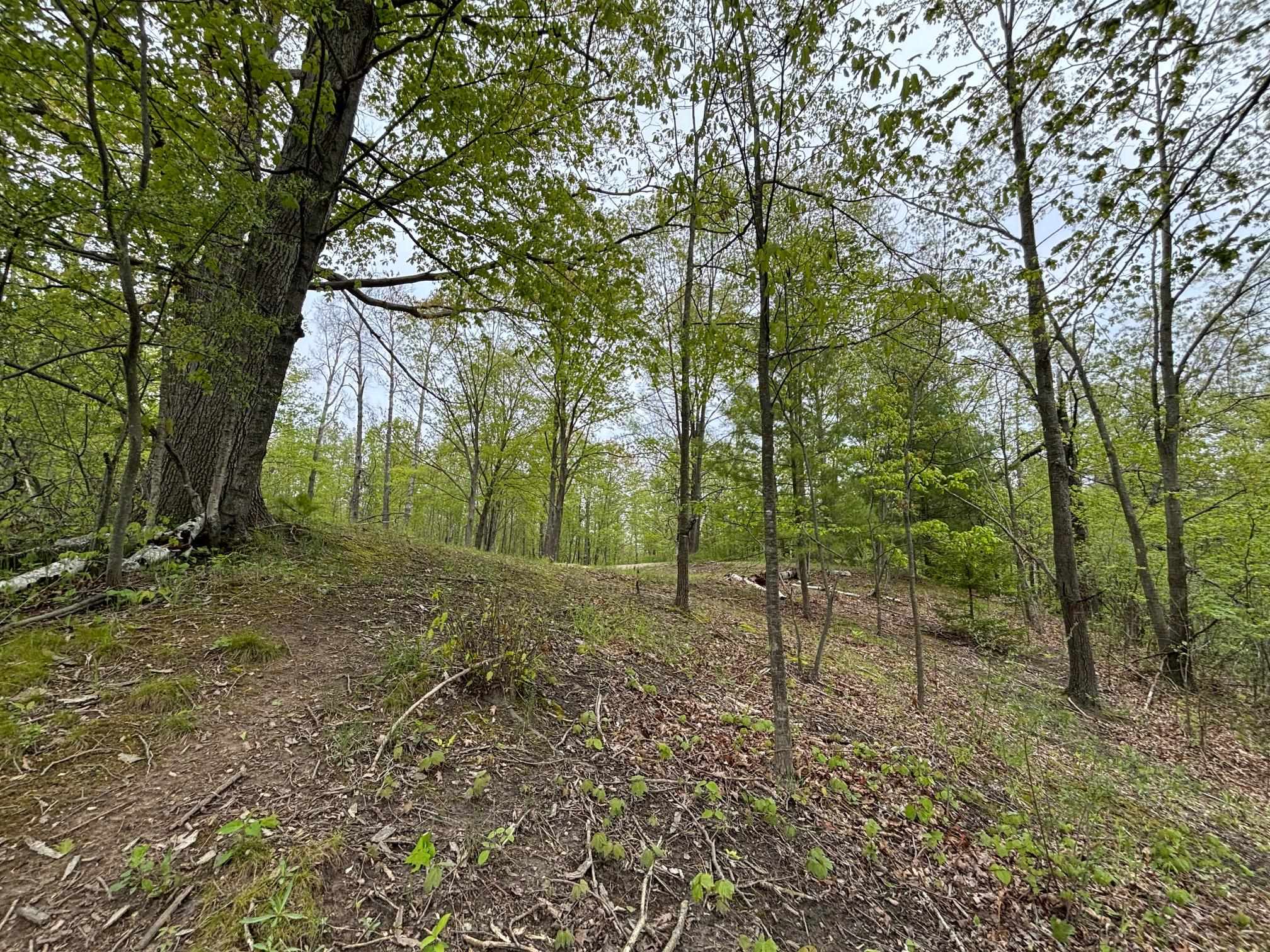 1240 Birch Ridge Road Gladwin, MI 48624 - Photo 13 of 41