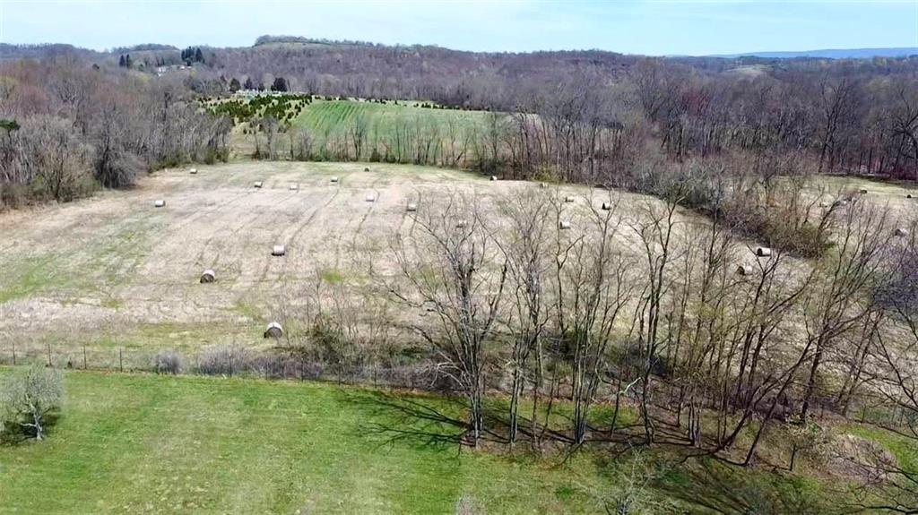 0 Fallen Timbers Road Point Marion, PA 15474 - Photo 3 of 8