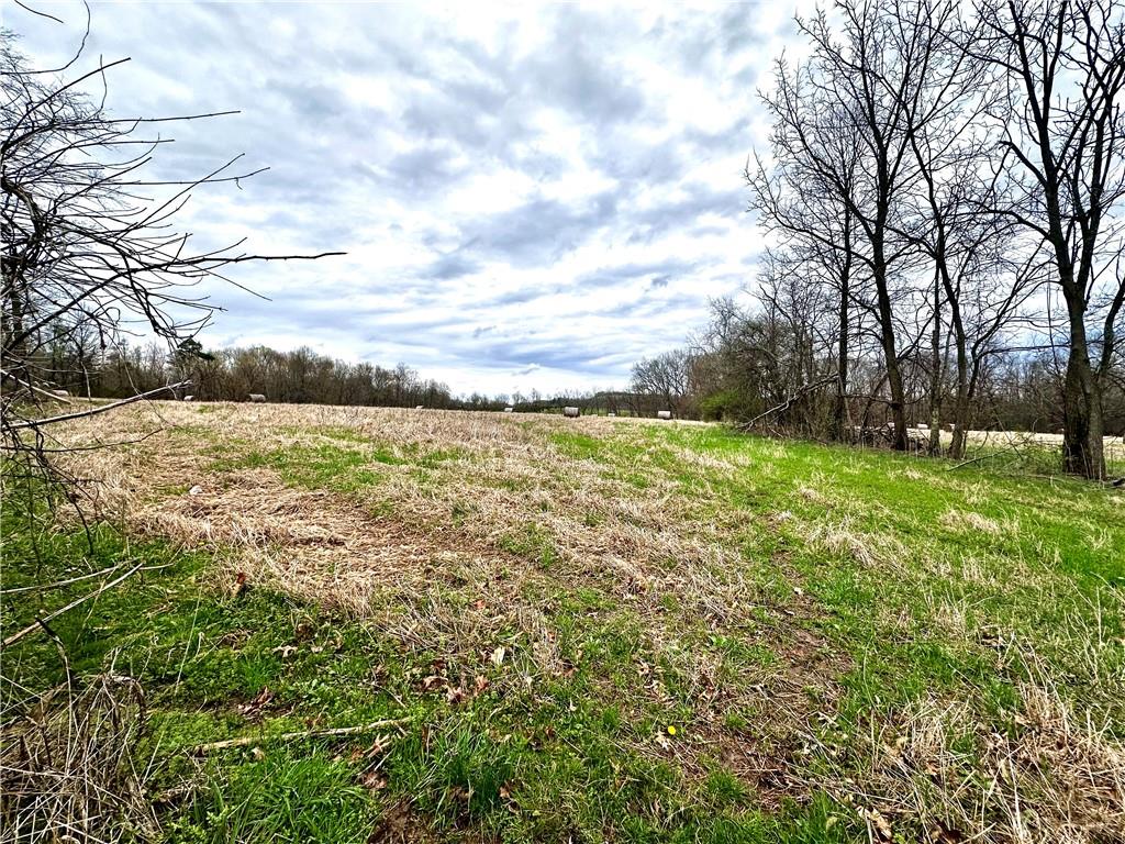 0 Fallen Timbers Road Point Marion, PA 15474 - Photo 8 of 8