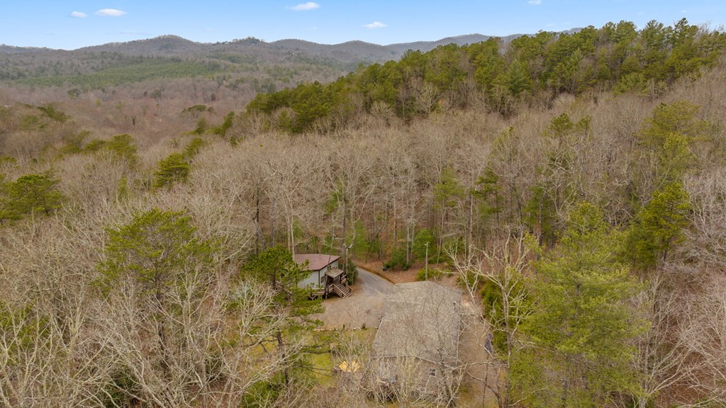 2625 Johnsonville Road Murphy, NC 28906 - Photo 2 of 53