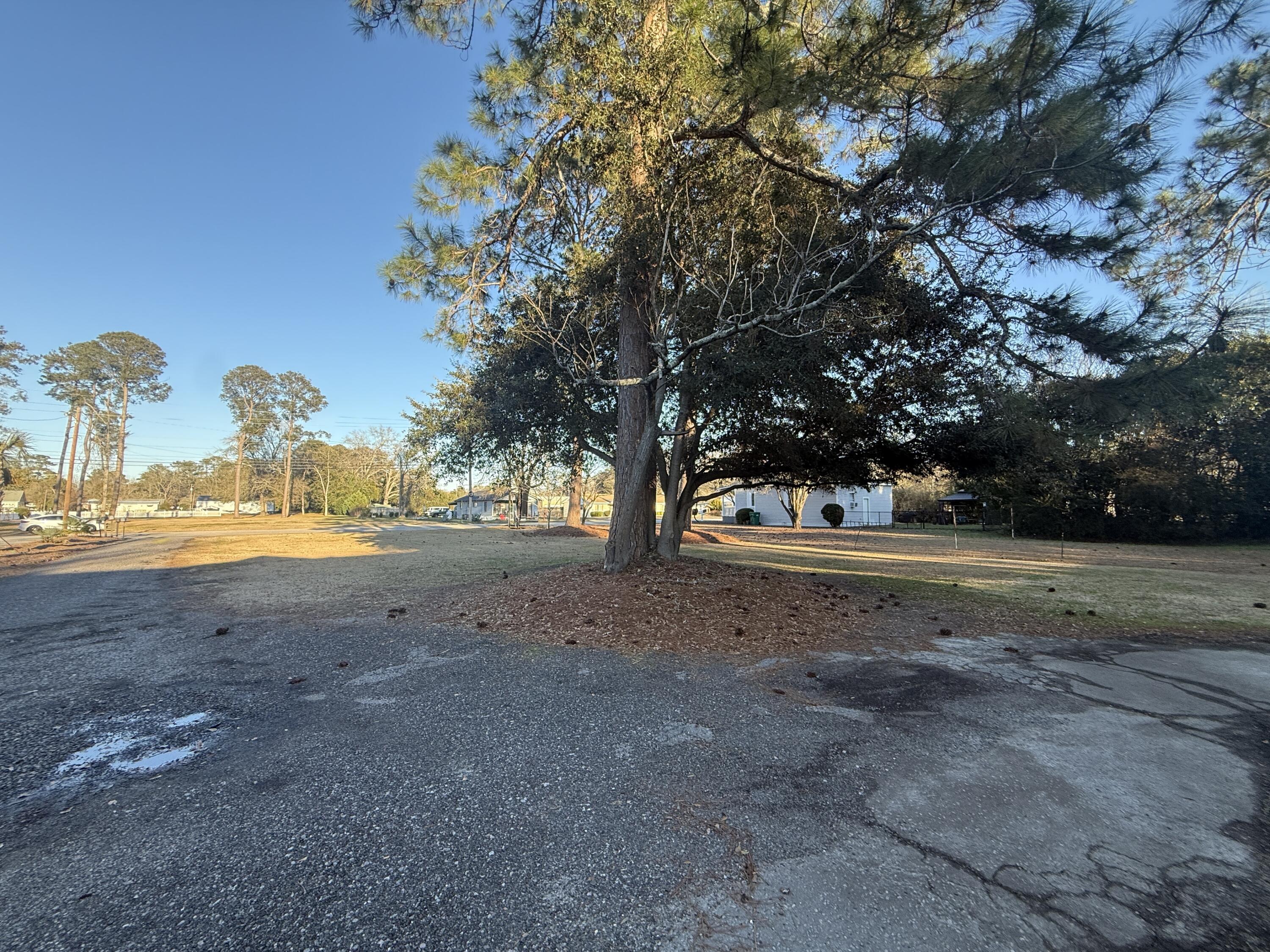 371 South Lexington Street Elloree, SC 29047 - Photo 4 of 4 IMG_1175