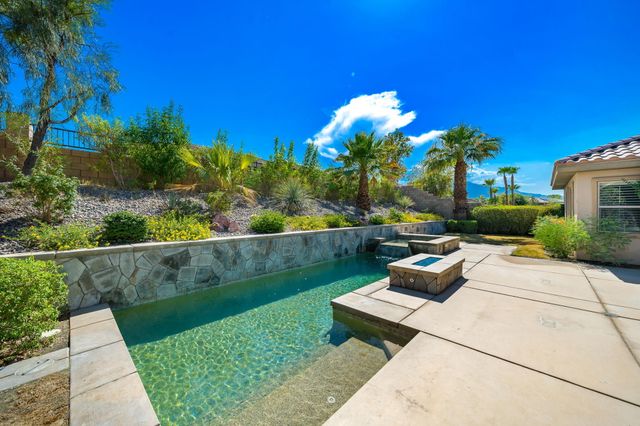a view of a garden with plants