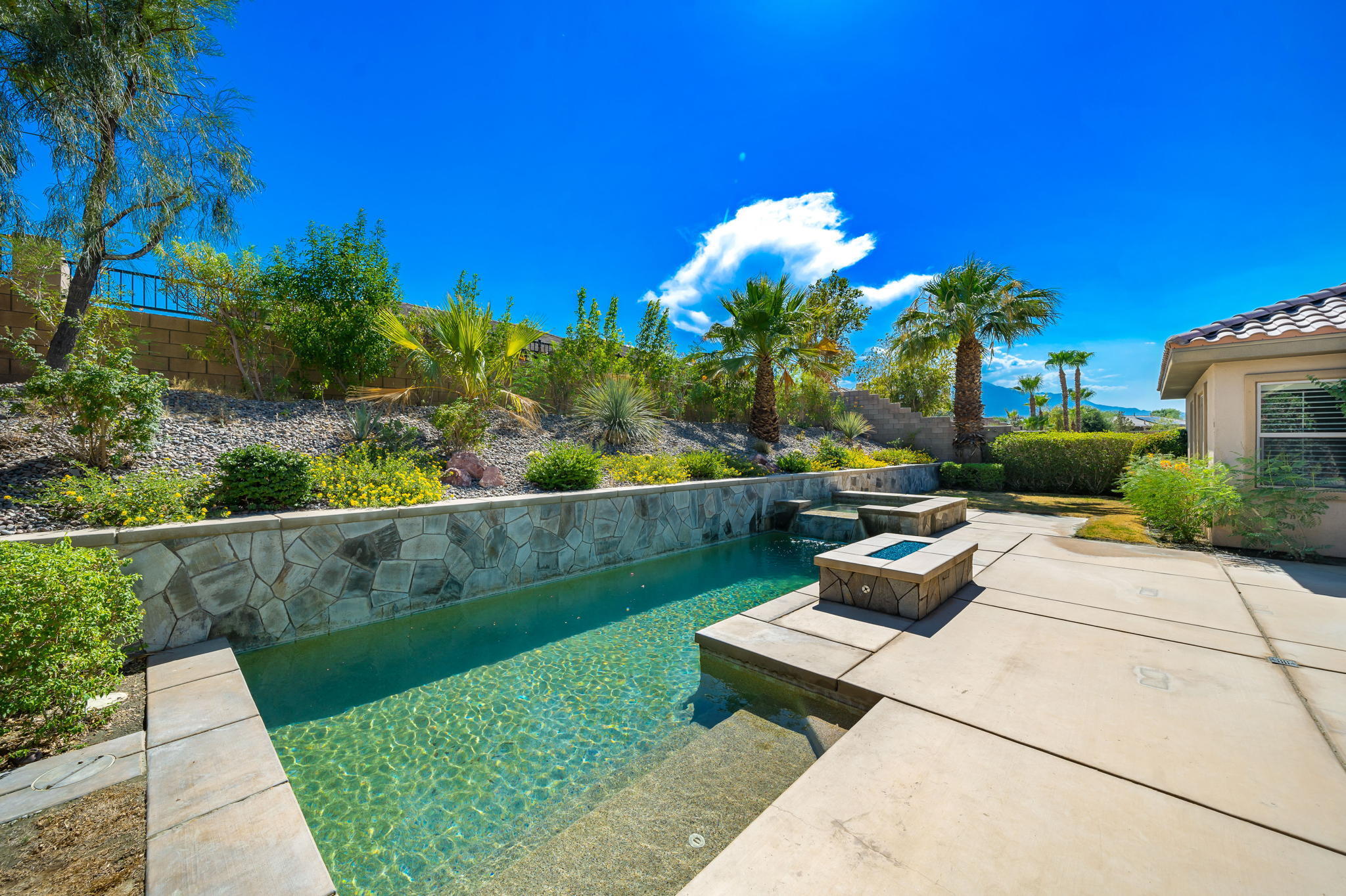 35789 Raphael Drive Palm Desert, CA 92211 - Photo 9 of 15 a view of a garden with plants