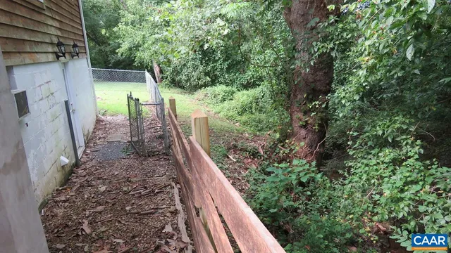a view of a yard with plants
