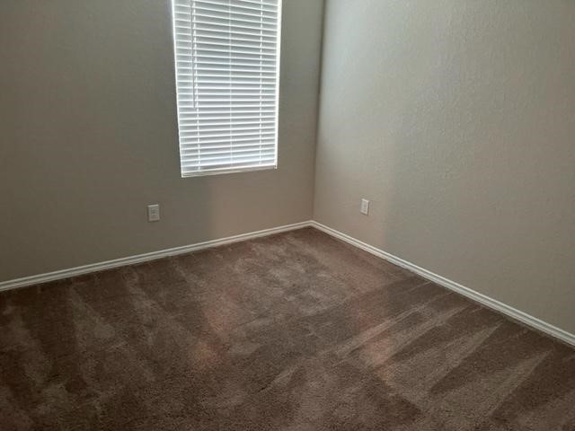 450 Blue Stem Road New Braunfels, TX 78130 - Photo 4 of 5