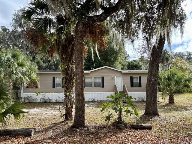 a view of a house with a tree in the forest