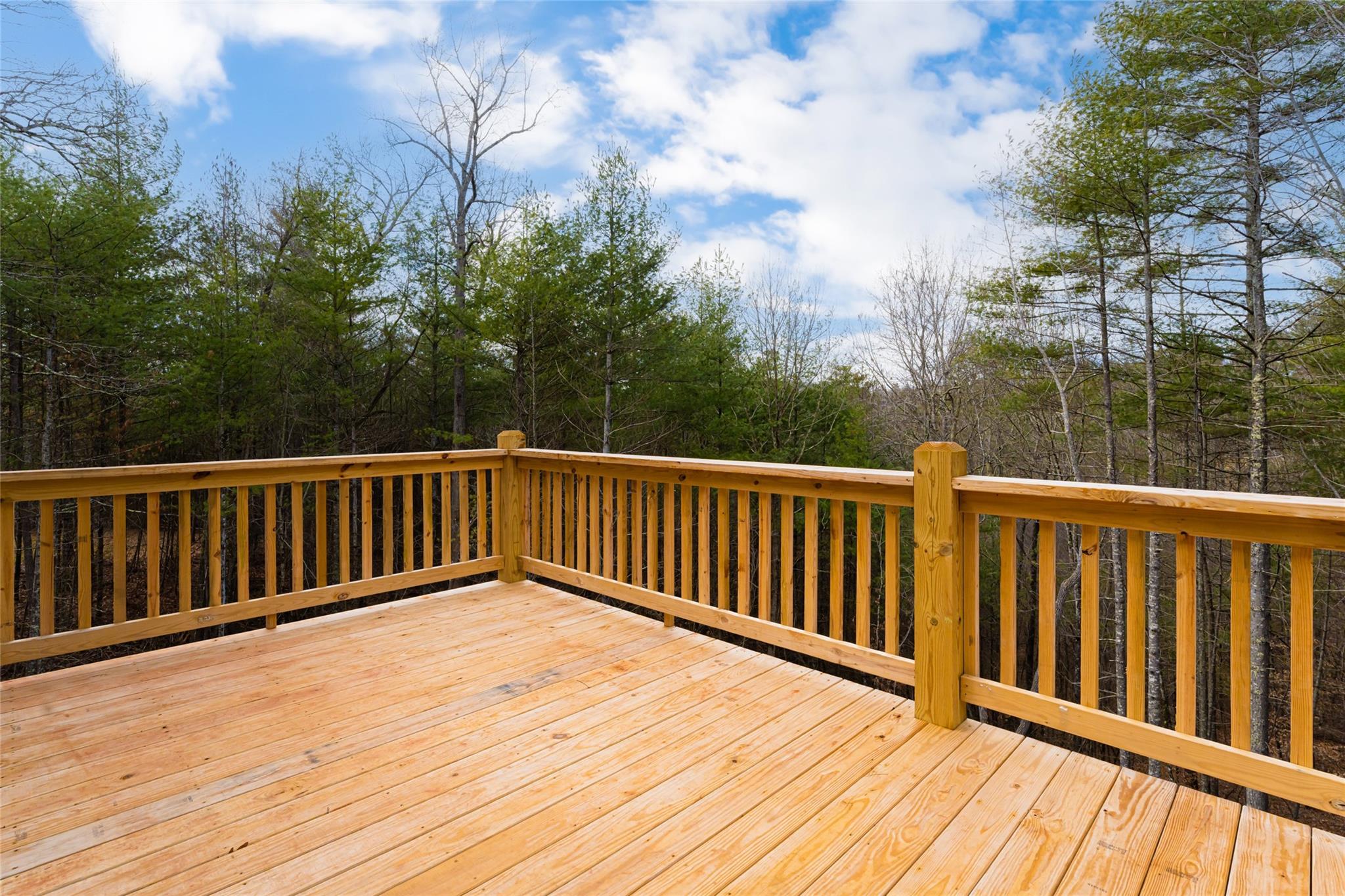 91 Brancer Drive Mars Hill, NC 28754 - Photo 37 of 44