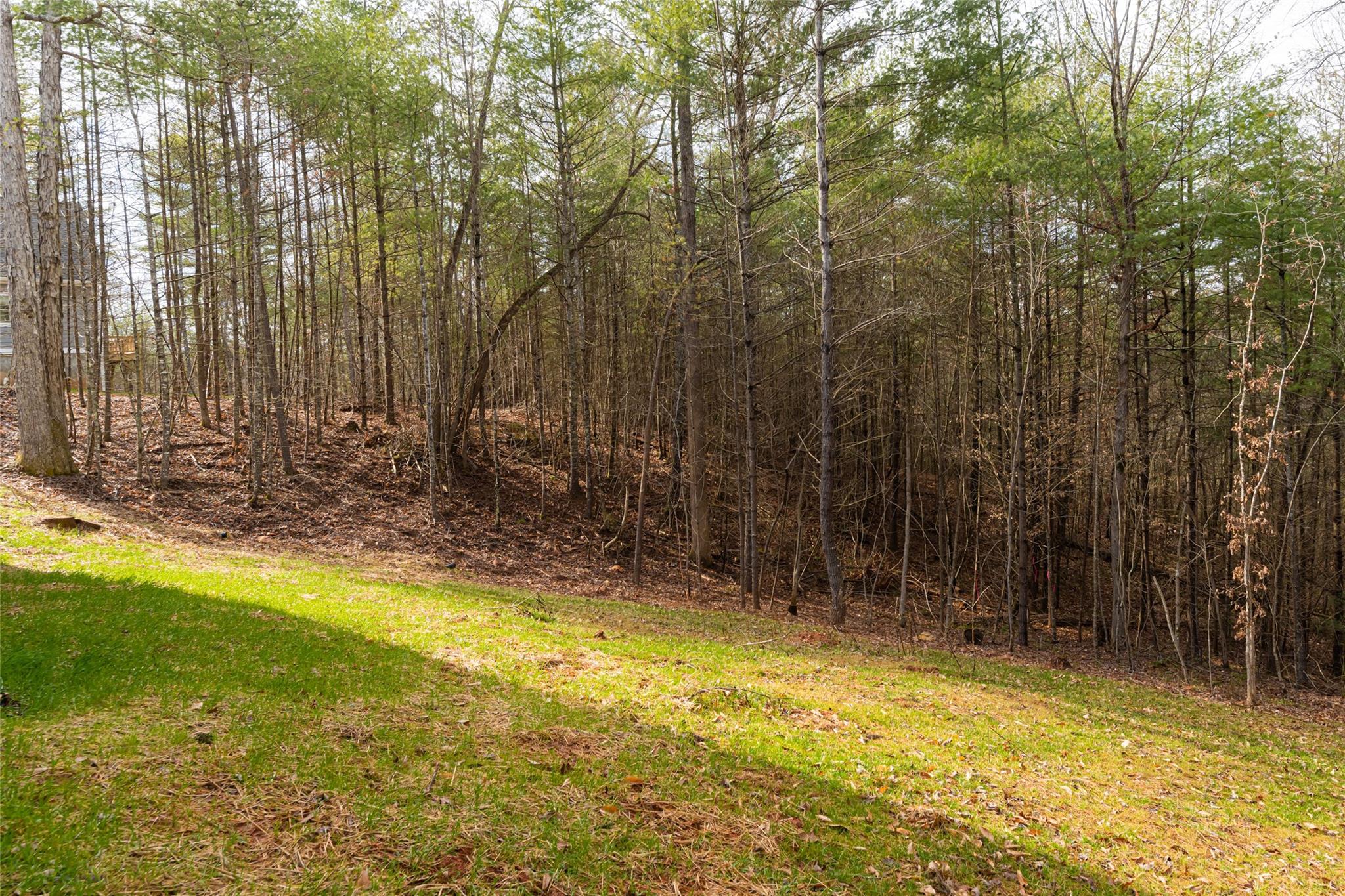 91 Brancer Drive Mars Hill, NC 28754 - Photo 42 of 44
