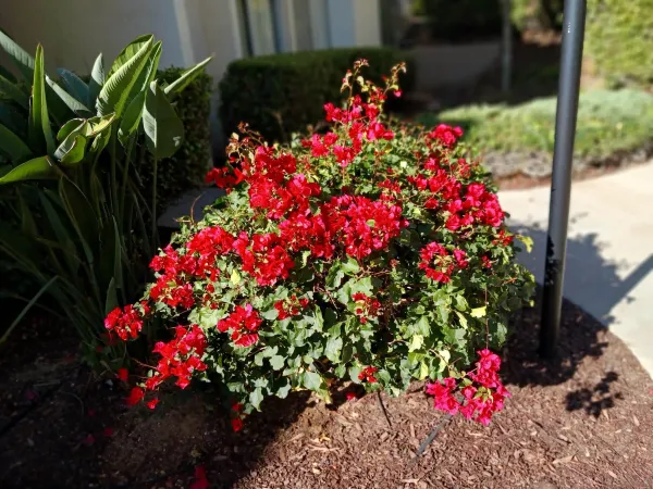 a kitchen with granite countertop white cabinets and a stove
