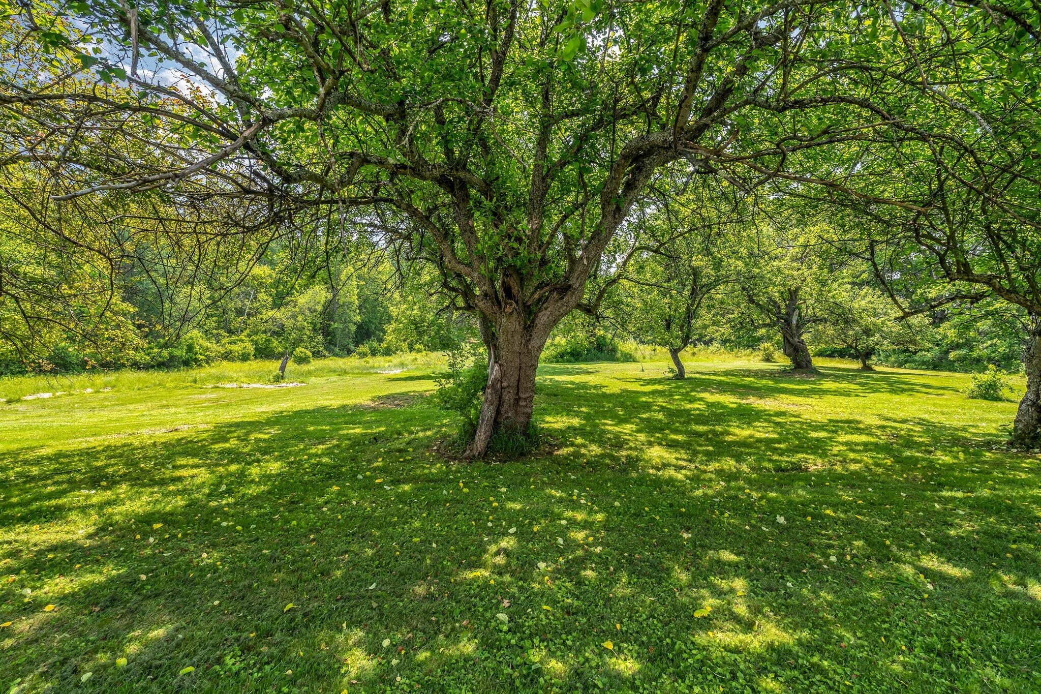428 Bean Road Mount Vernon, ME 04352 - Photo 12 of 58 428 Bean Road
