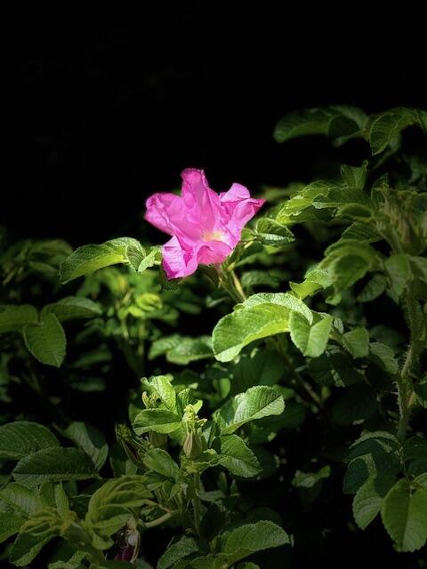 428 Bean Road Mount Vernon, ME 04352 - Photo 56 of 58 IMG_5339