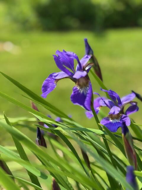 428 Bean Road Mount Vernon, ME 04352 - Photo 57 of 58 IMG_5338