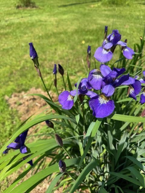 428 Bean Road Mount Vernon, ME 04352 - Photo 58 of 58 IMG_5336