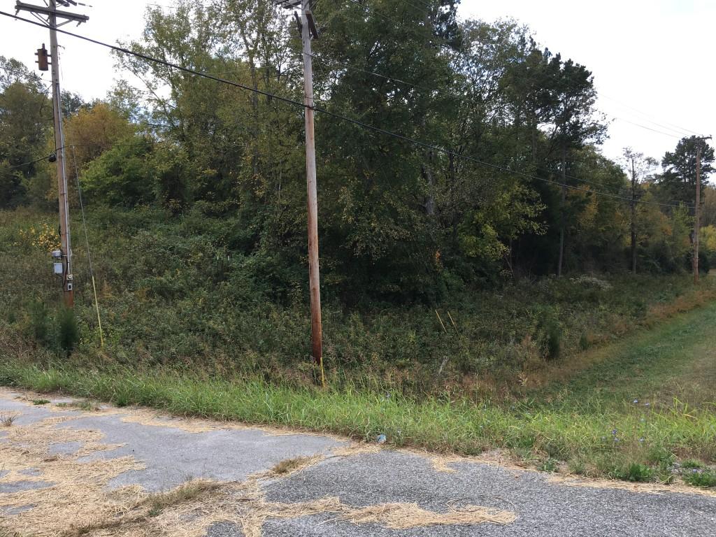Lot 5.04 Rhea County Highway Spring City, TN 37381 - Photo 12 of 15 IMG_6228 (Medium)