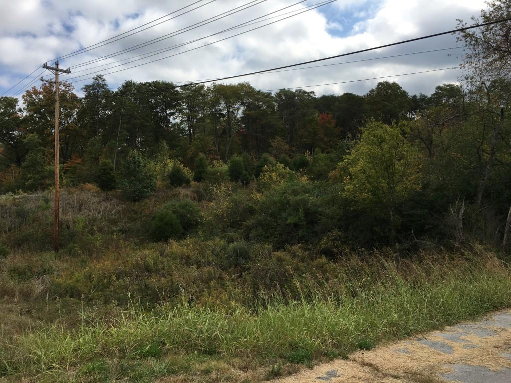 Lot 5.04 Rhea County Highway Spring City, TN 37381 - Photo 13 of 15 IMG_6229 (Medium)