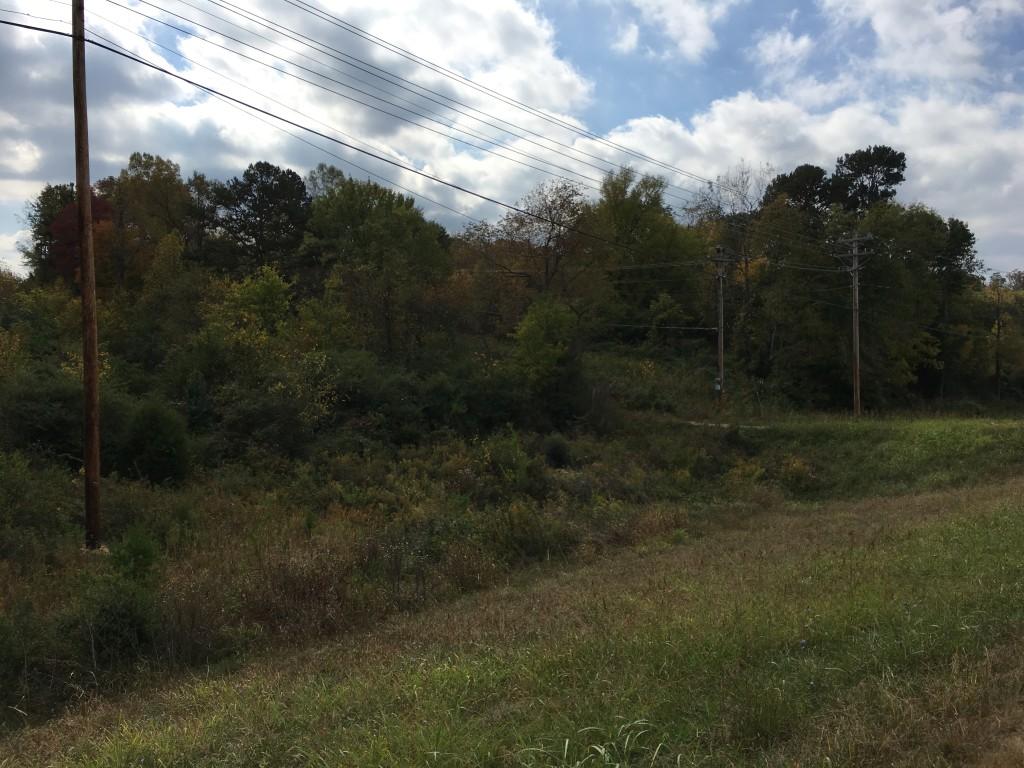 Lot 5.04 Rhea County Highway Spring City, TN 37381 - Photo 14 of 15 IMG_6233 (Medium)