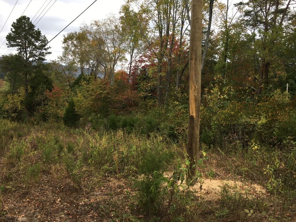Lot 5.04 Rhea County Highway Spring City, TN 37381 - Photo 7 of 15 IMG_6221 (Medium)