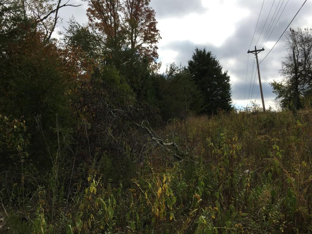 Lot 5.04 Rhea County Highway Spring City, TN 37381 - Photo 8 of 15 IMG_6222 (Medium)