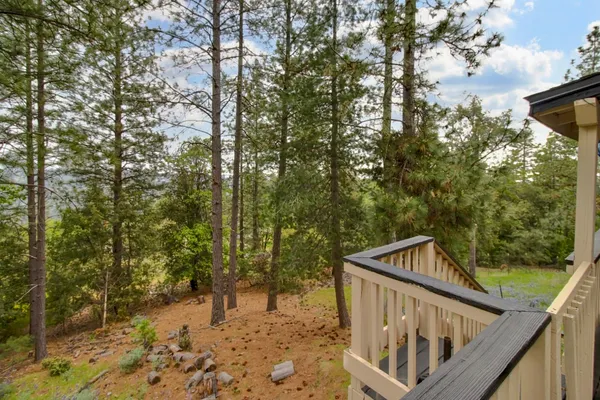 a view of a forest filled with trees