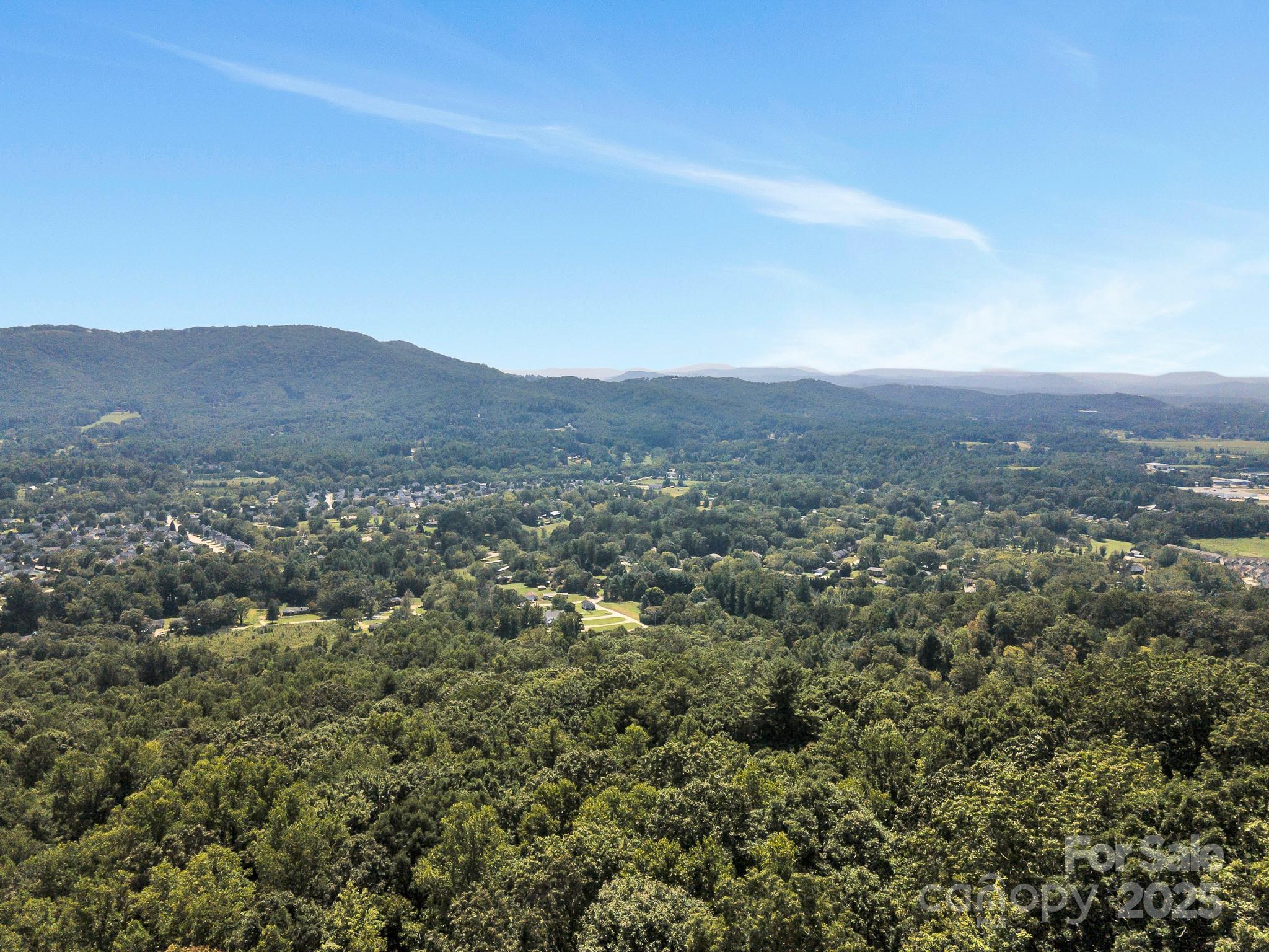 9999 Hoopers Creek Road Fletcher, NC 28732 - Photo 11 of 11 a view of a city with mountains in the background